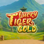 lucky tiger gold